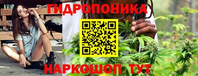 мяу мяу мука Партизанск