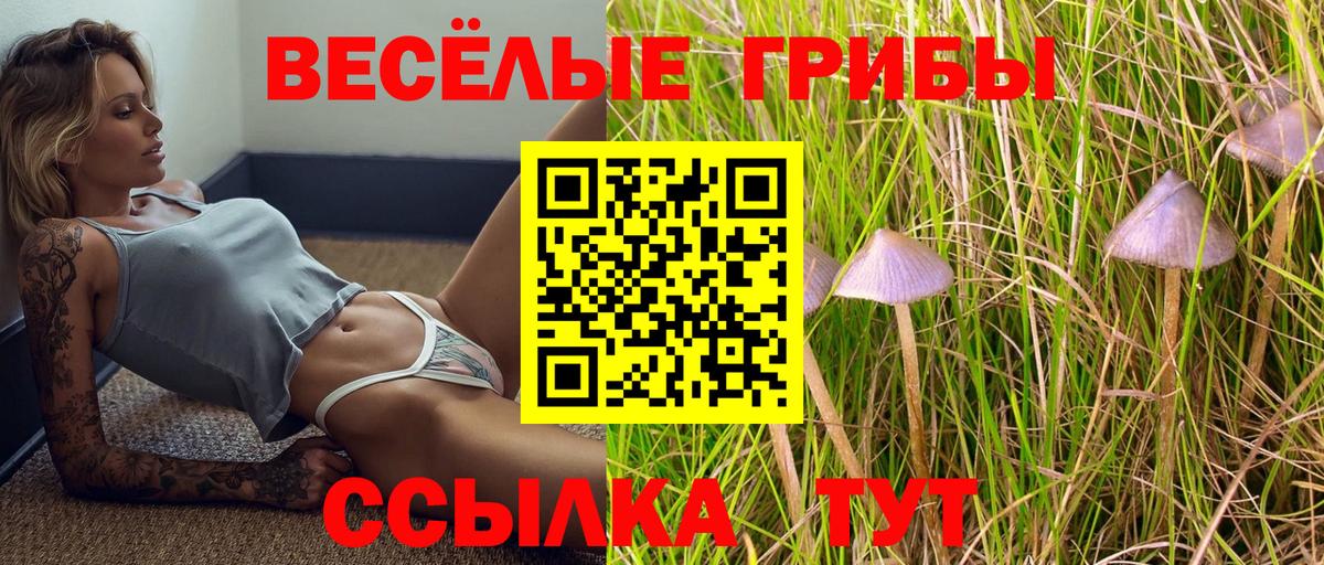 как найти закладки  Галлюциногенные грибы MAGIC MUSHROOMS  Вход с VPN  Галлюциногенные грибы Magic Shrooms  Первоуральск 